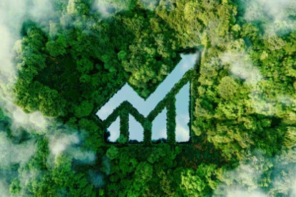 如盈财女：6.5黄金低多看涨，原油反弹空